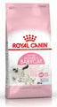 ROYAL CANIN FELINE PIENSO PARA GATITO