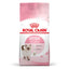 ROYAL CANIN FELINE PIENSO PARA GATITO